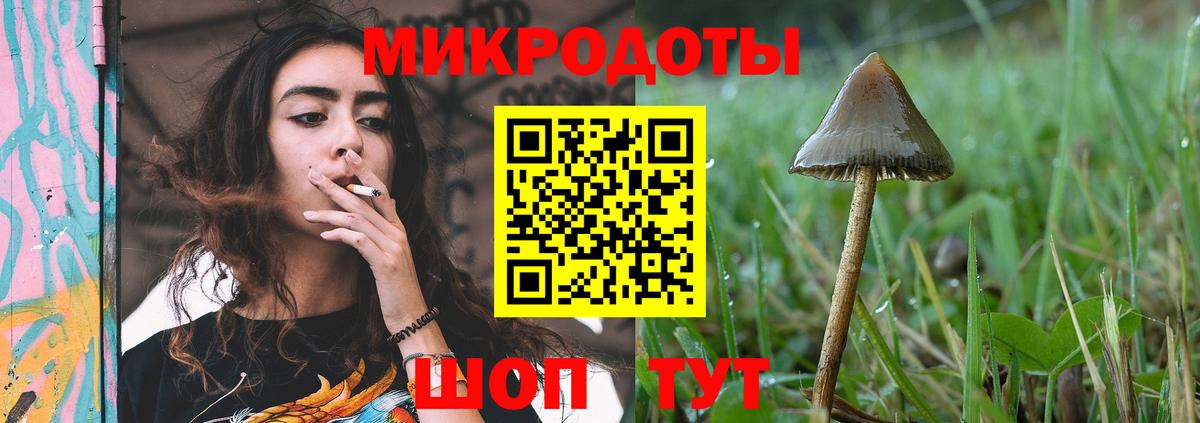 Псилоцибиновые грибы MAGIC MUSHROOMS Усолье-Сибирское